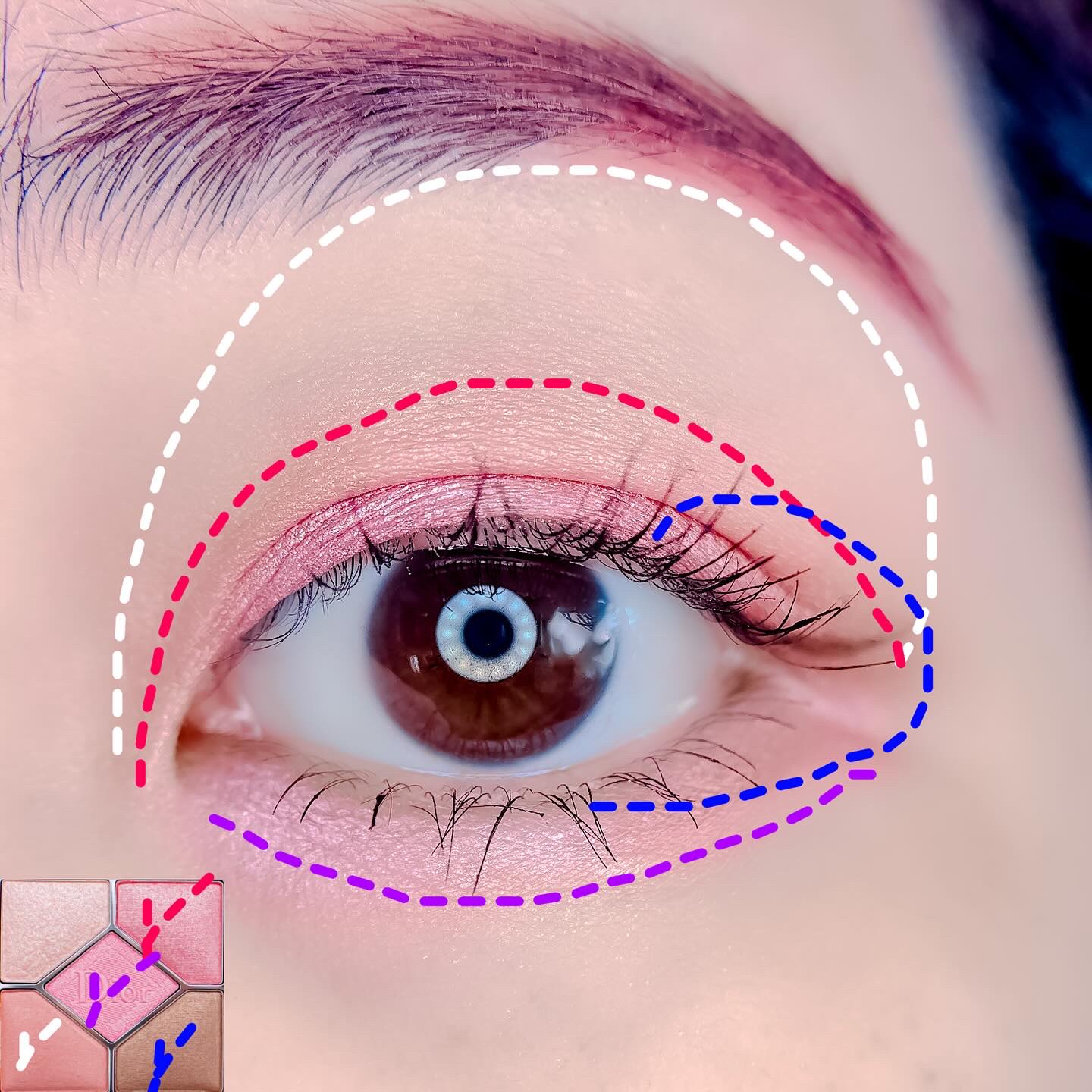 【旧】サンク クルール クチュール/Dior/アイシャドウパレットを使ったクチコミ（2枚目）