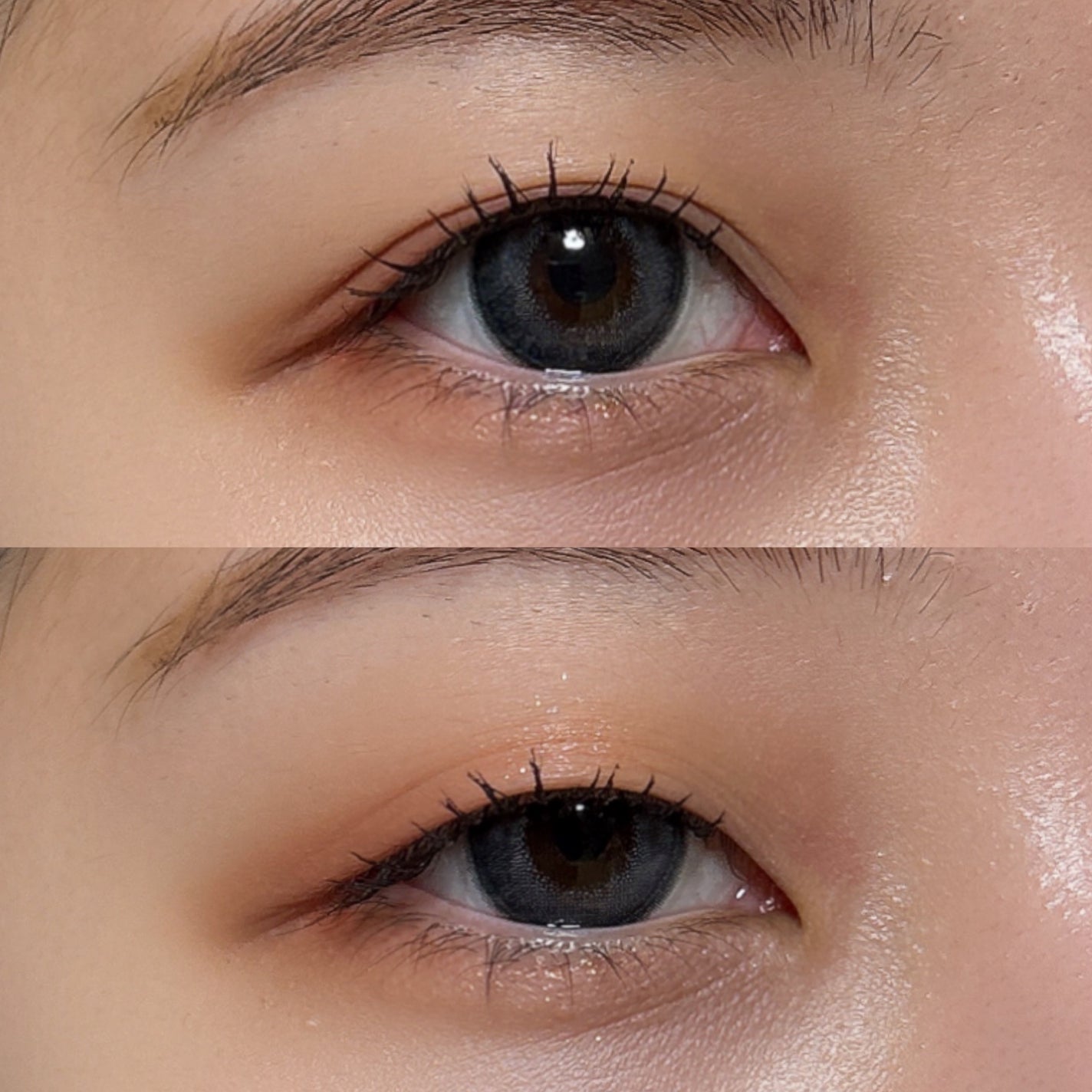 Angelcolor Bambi Series 1day /AngelColor/ワンデー(1DAY)カラコンを使ったクチコミ(3枚目)