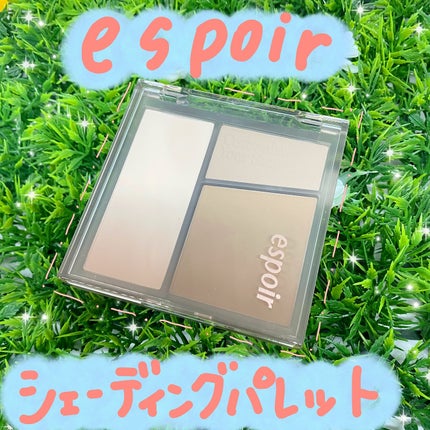 トーンペアリングコントゥアパレット/espoir/シェーディングを使ったクチコミ(1枚目)