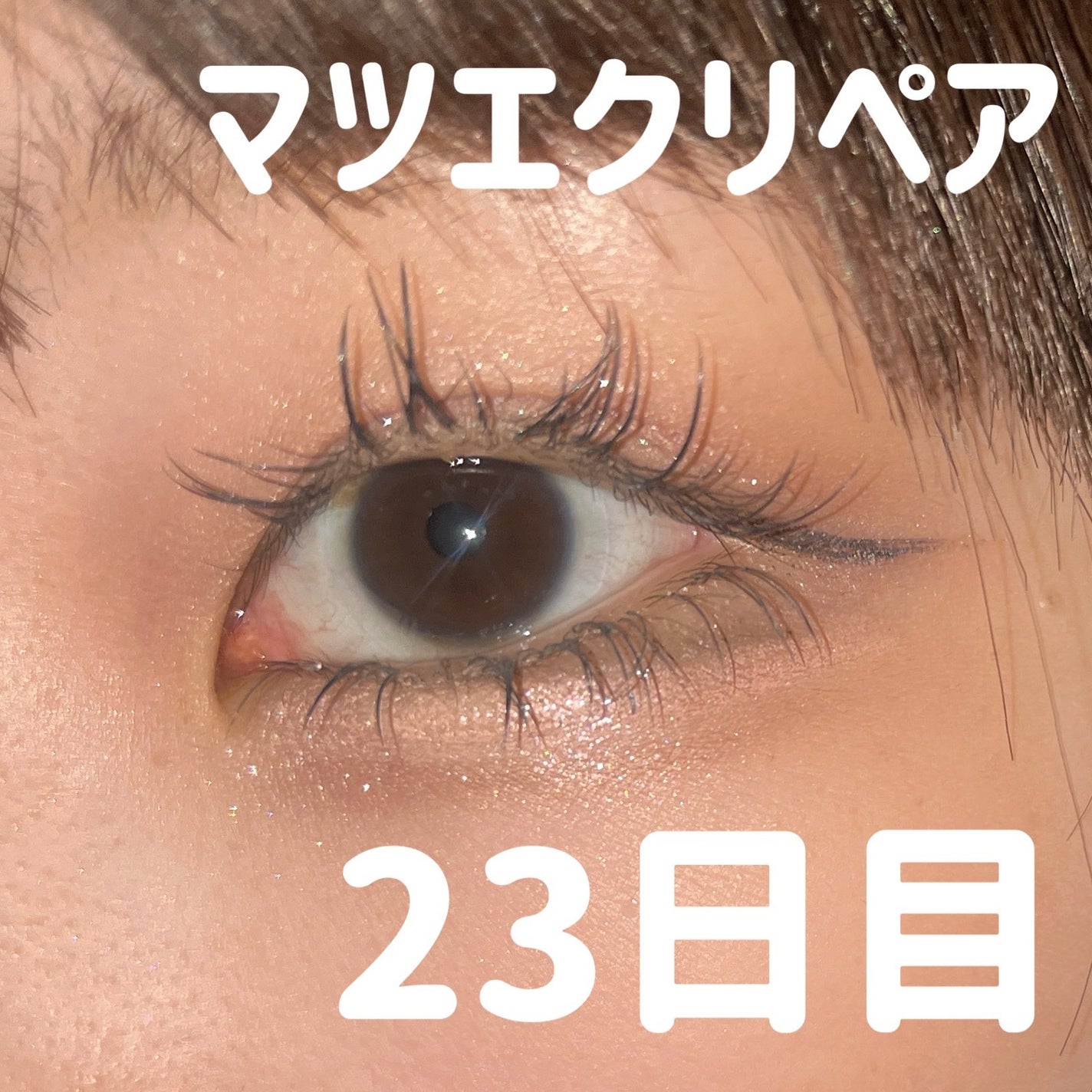 プランぷくコーデアイズNeo/キャンメイク/アイシャドウを使ったクチコミ(1枚目)