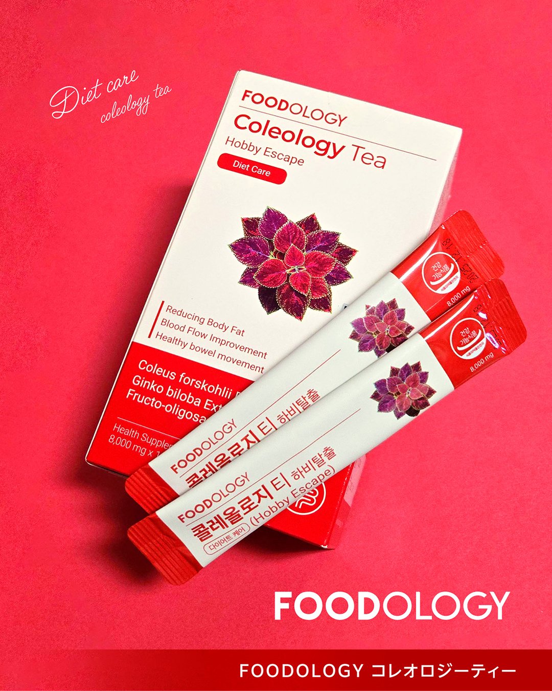 値下げ☆coleology tea コレオロジー茶 5箱 75包 まとめうり 値下げ☆coleology tea コレオロジー茶 5箱 75包 まとめうり