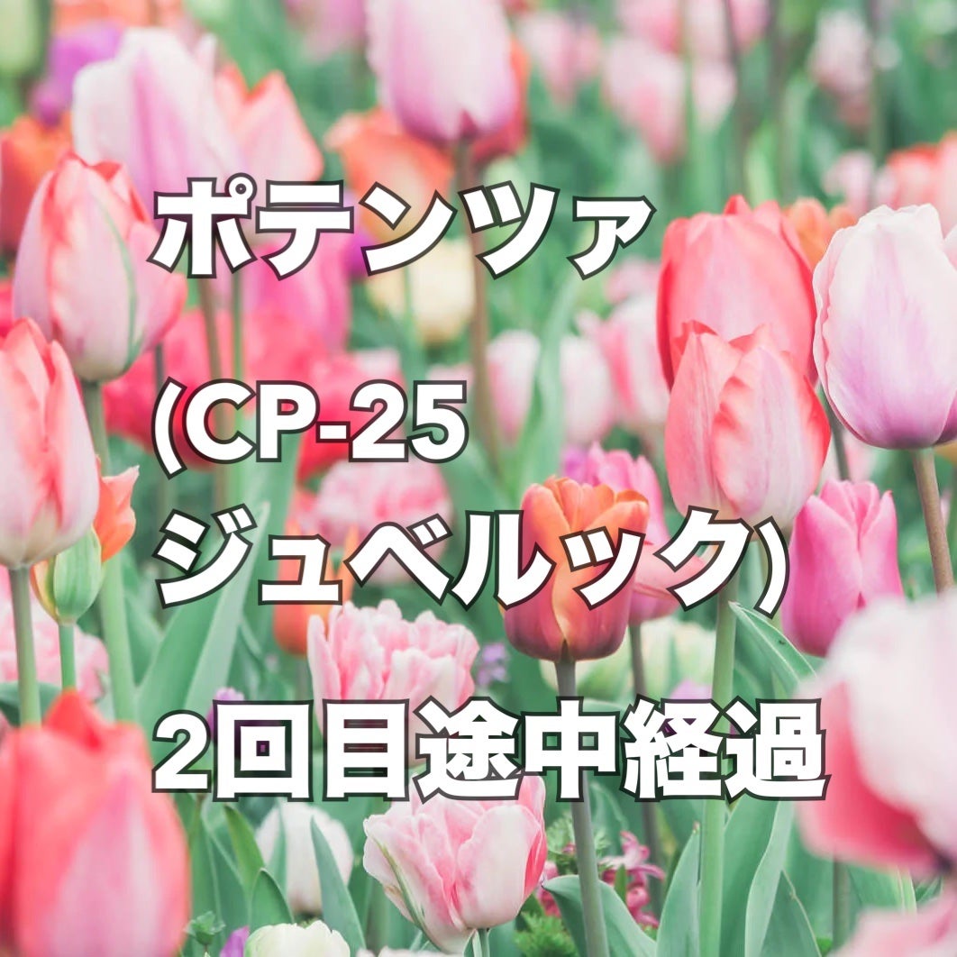 かもめねこ on LIPS 「【ジュベルック2回目レポ】麻酔込み全額38500円⬆️トリビュ..」(1枚目)