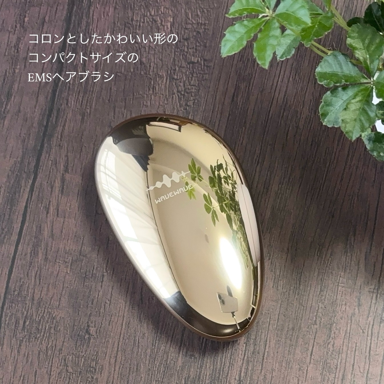 EMS Brush Air mini/WAVEWAVE/ヘアブラシを使ったクチコミ（2枚目）