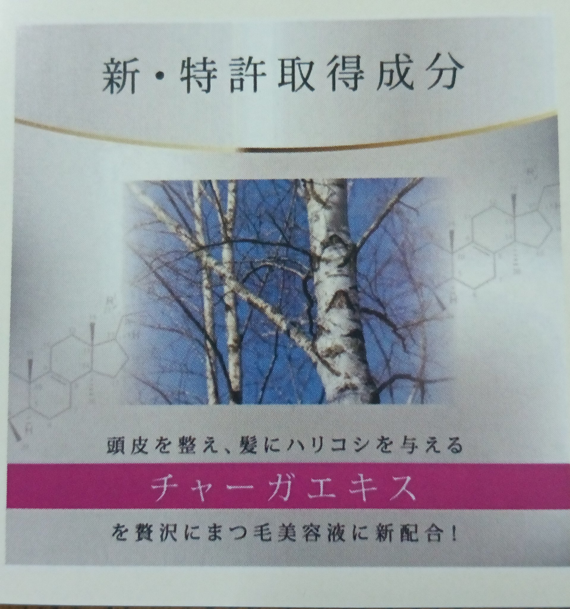 ナルフロウ アイラッシュ セラム チャーガ/nalufurou/まつげ美容液を使ったクチコミ（2枚目）