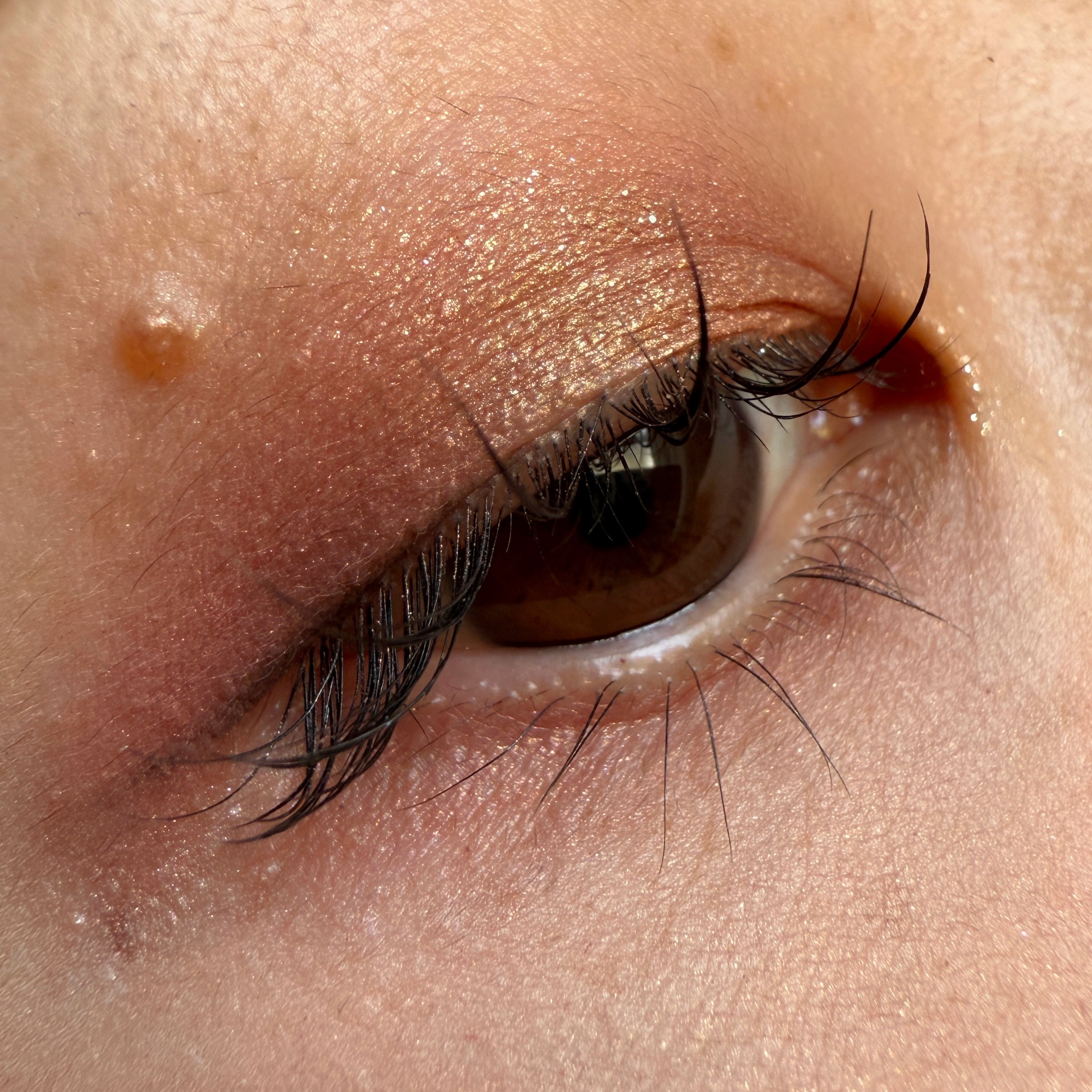 麻雀アイシャドウ/和粧/単色アイシャドウを使ったクチコミ（2枚目）