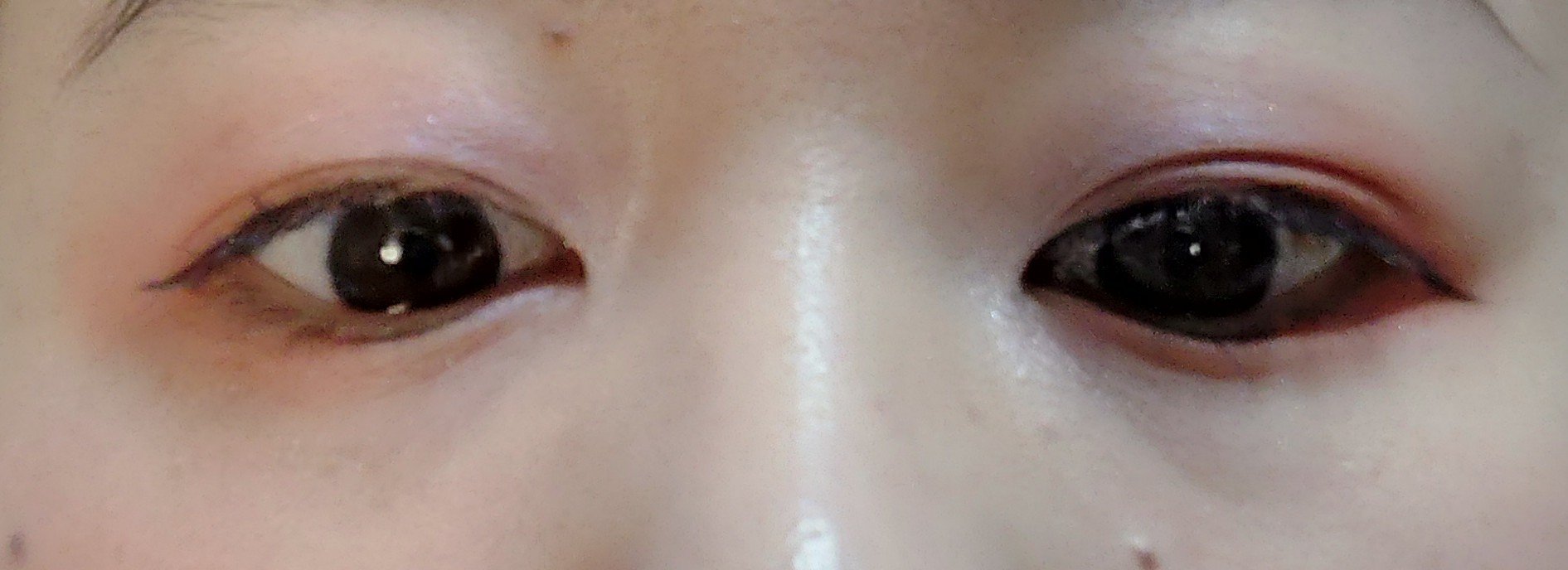 【旧】ディオールショウ サンク クルール（スプリング コレクション 2025 限定品）/Dior/アイシャドウを使ったクチコミ（3枚目）