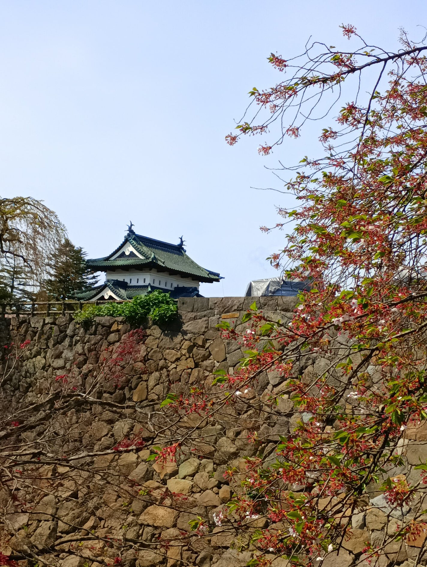 ð¯ on LIPS ãçµæ§åã®æ¡ãŸã€ãã®åçðžðž..ãïŒ5æç®ïŒ