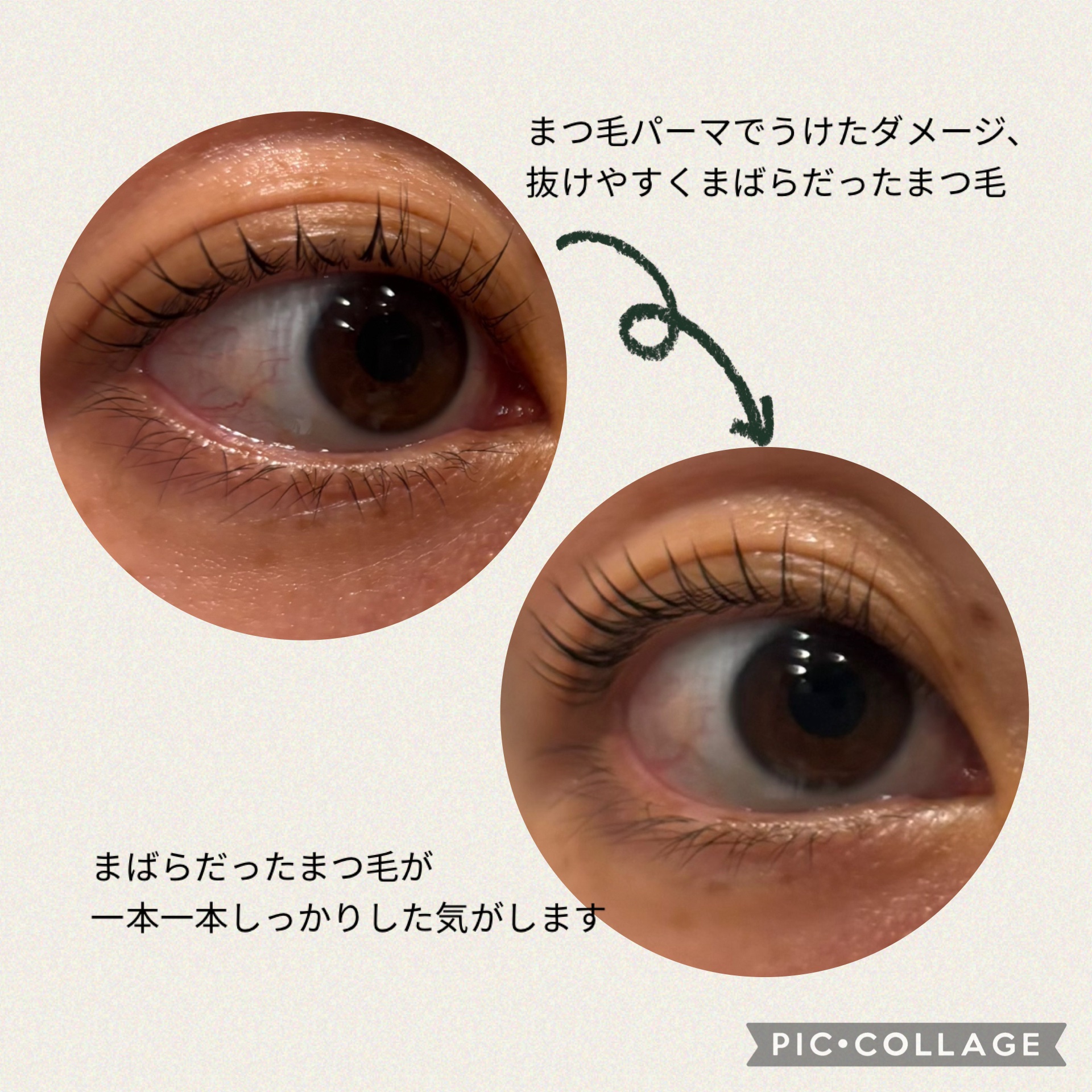 アイラッシュエッセンシャルセラム/epais/まつげ美容液を使ったクチコミ（3枚目）