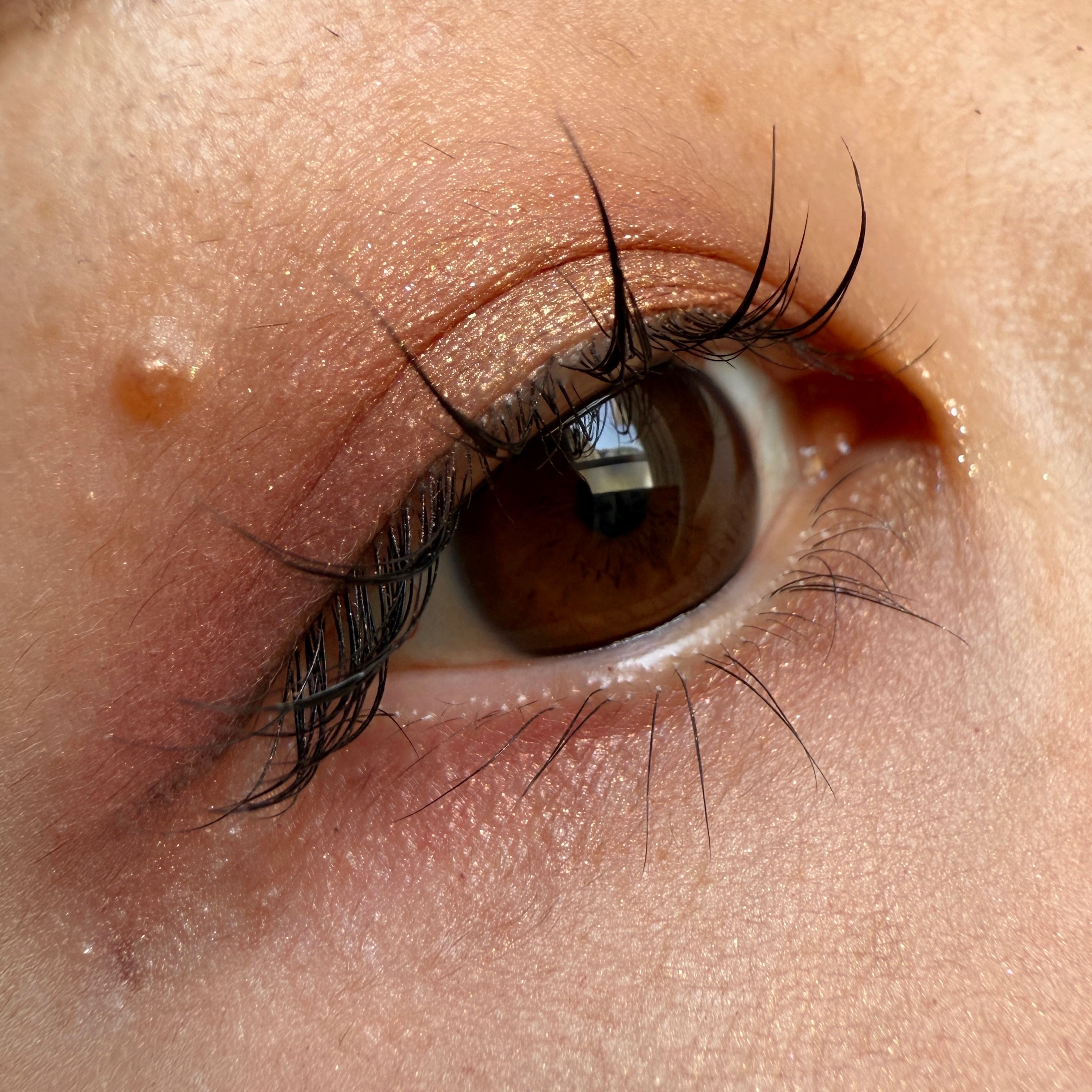 麻雀アイシャドウ/和粧/単色アイシャドウを使ったクチコミ（1枚目）