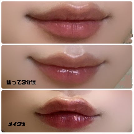 リップガーディアン プランプスティック/LIPGUARDIAN/リッププランパーを使ったクチコミ(2枚目)