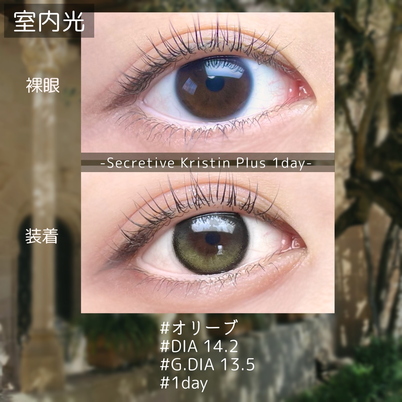 Secretive Kristen 1day/Hapa kristin/ワンデー（１DAY）カラコンを使ったクチコミ（2枚目）