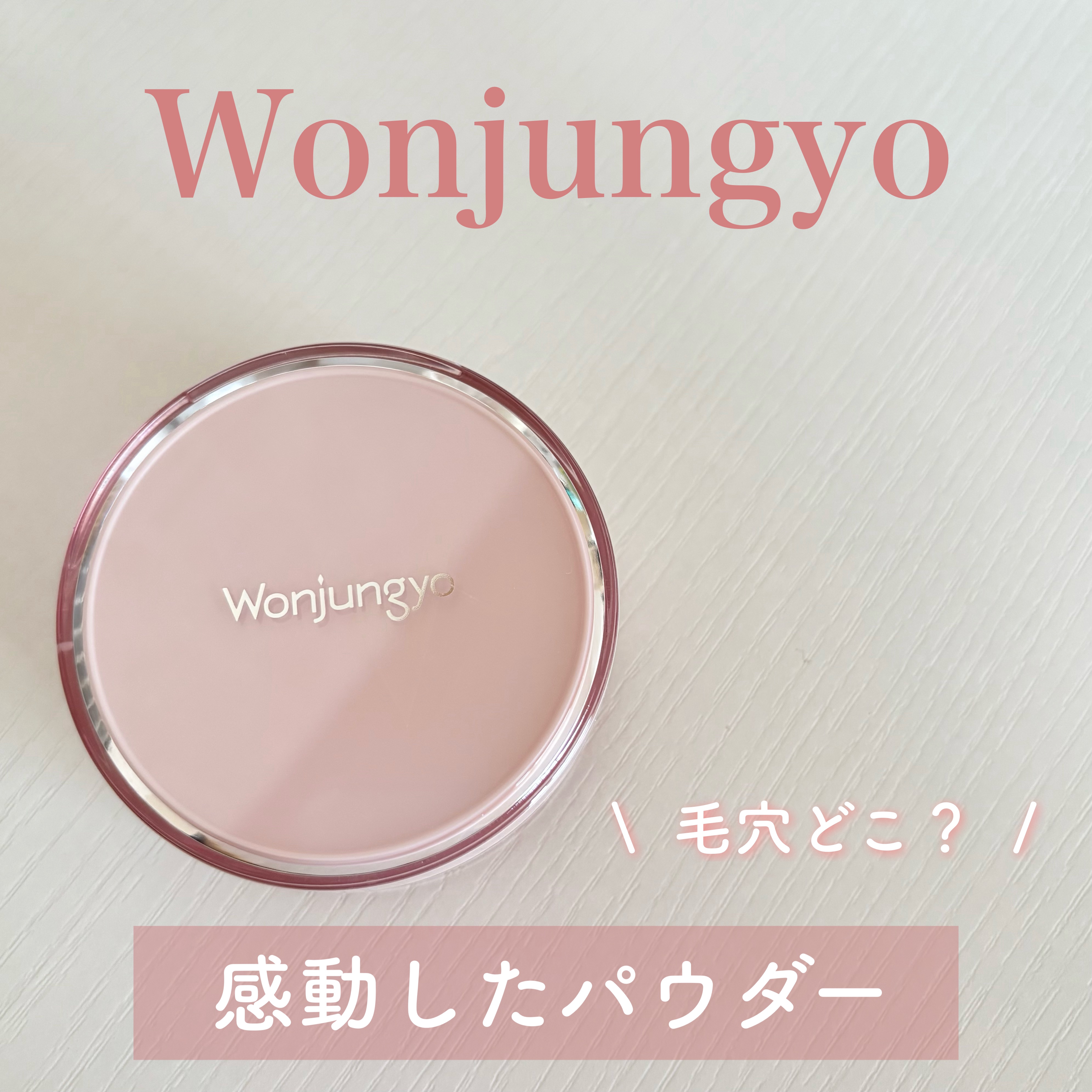 ウォンジョンヨ フィクシングブラーパウダー N/Wonjungyo/ルースパウダーを使ったクチコミ（1枚目）