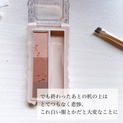 フィットスタイラーアイブロウ/キャンメイク/パウダーアイブロウを使ったクチコミ(5枚目)