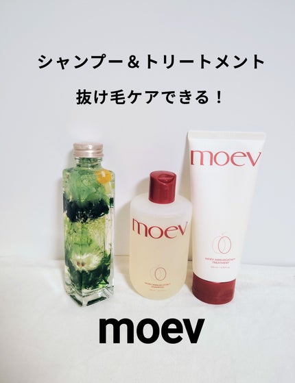モエブ アヌカチン シャンプー/トリートメント/moev/市販シャンプーを使ったクチコミ(1枚目)