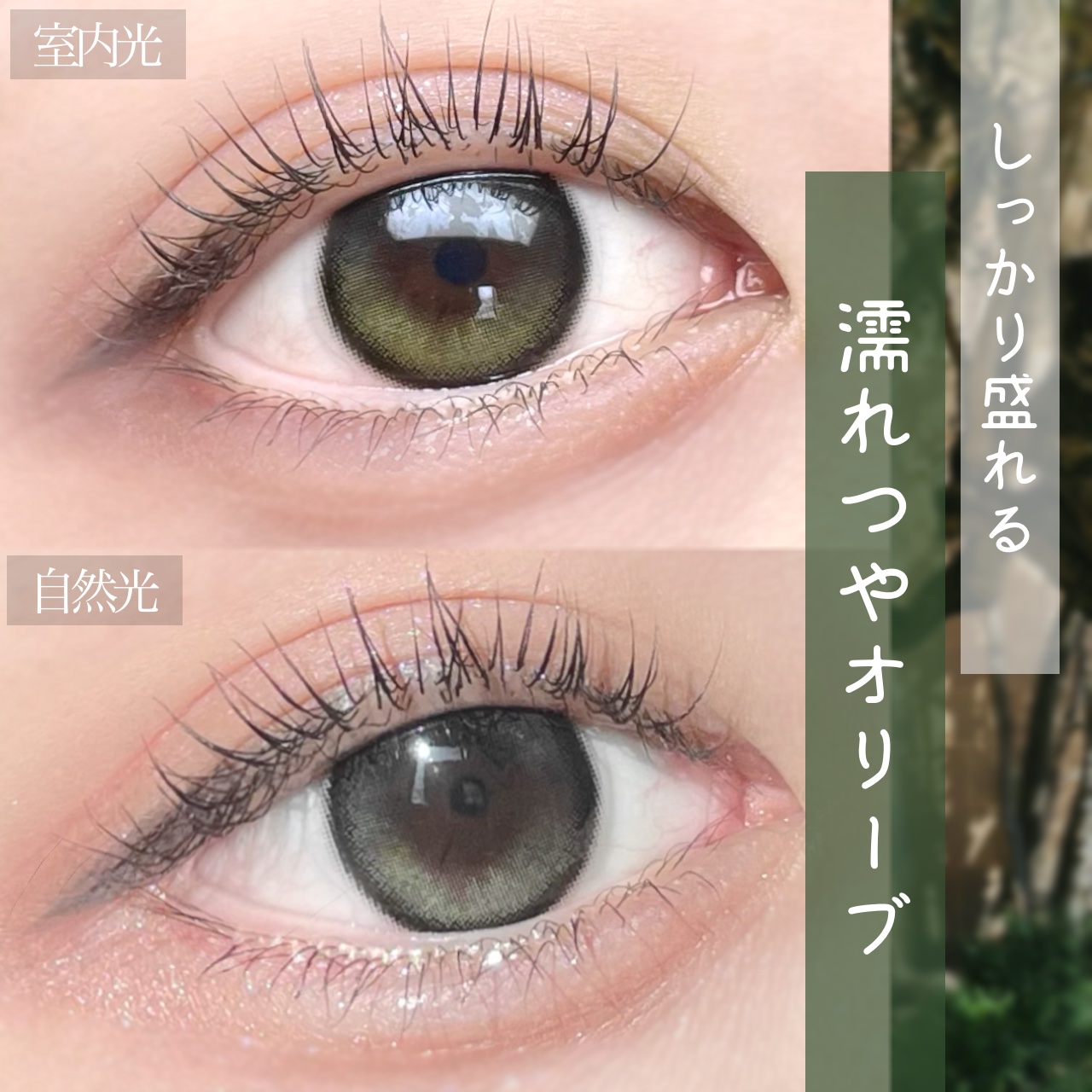 Secretive Kristen 1day/Hapa kristin/ワンデー（１DAY）カラコンを使ったクチコミ（1枚目）