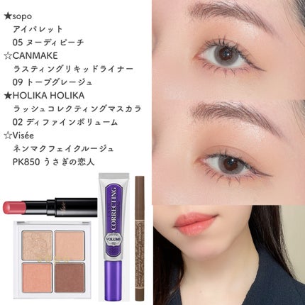 ネンマクフェイク ルージュ/Visée/口紅を使ったクチコミ(1枚目)