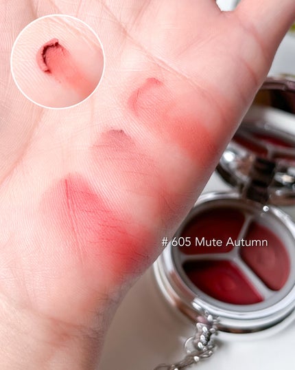 ブラーリングタイムトゥーキスアンドブラッシュ/Dinto/口紅を使ったクチコミ(5枚目)