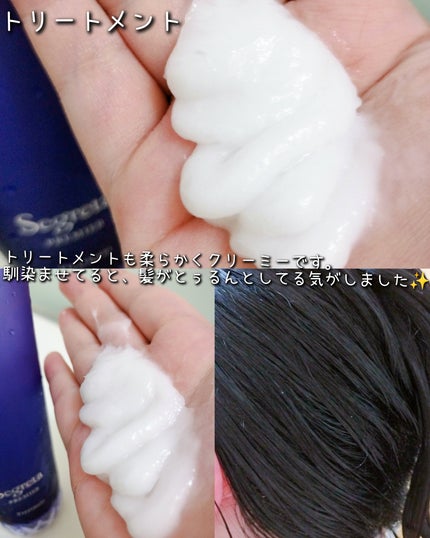 セグレタ プレミア 凝縮美容液シャンプー/セグレタ/市販シャンプーを使ったクチコミ(5枚目)