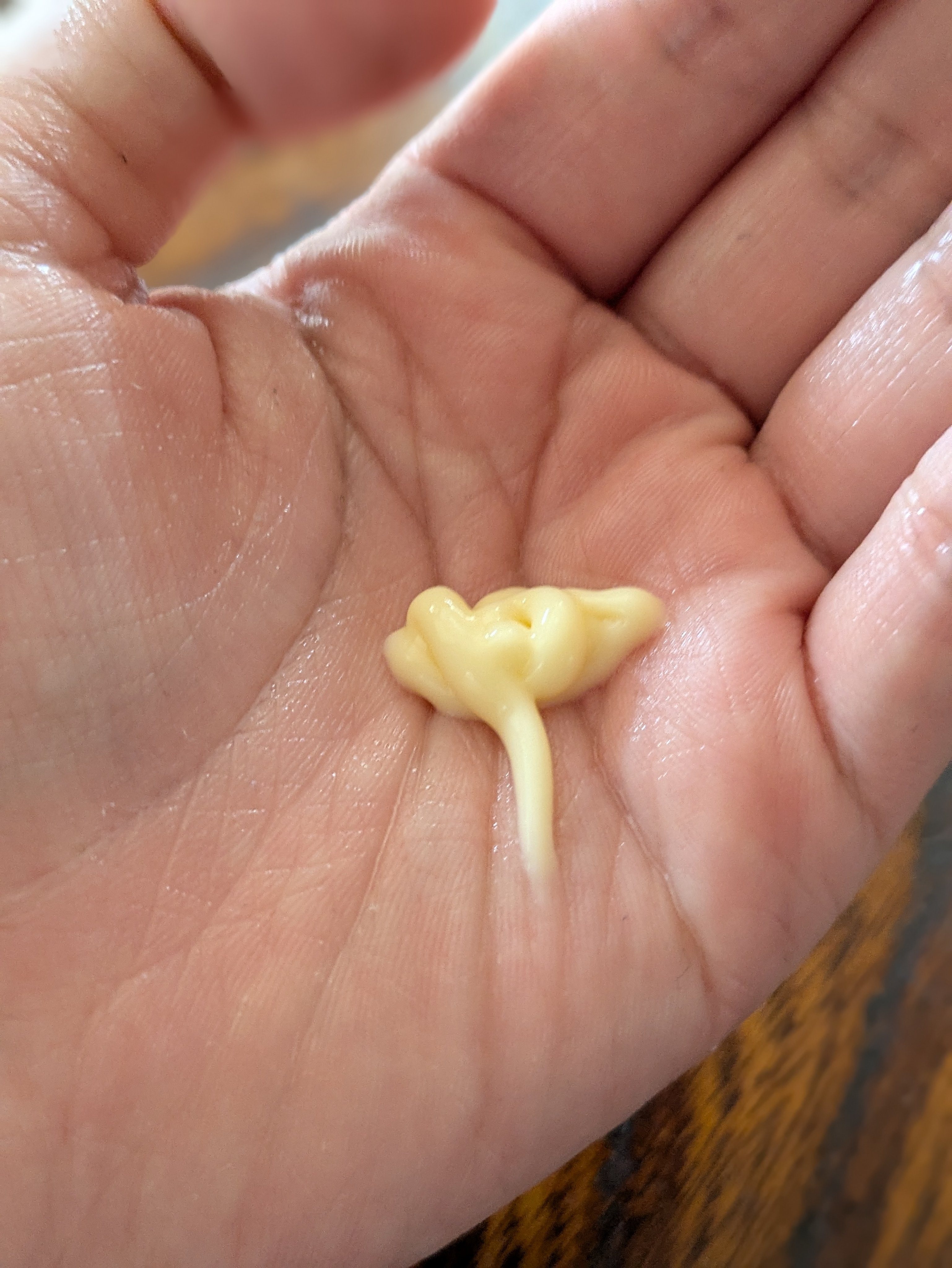 ８デイズピュアビタミンCアンプル/VARI:HOPE/美容液を使ったクチコミ（3枚目）