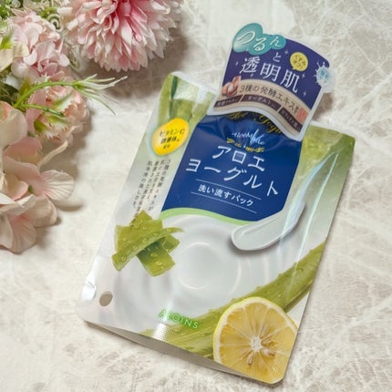 アロエメイド 発酵クリアパックAY 170g/アロエメイド/洗い流すパック・マスクを使ったクチコミ(1枚目)