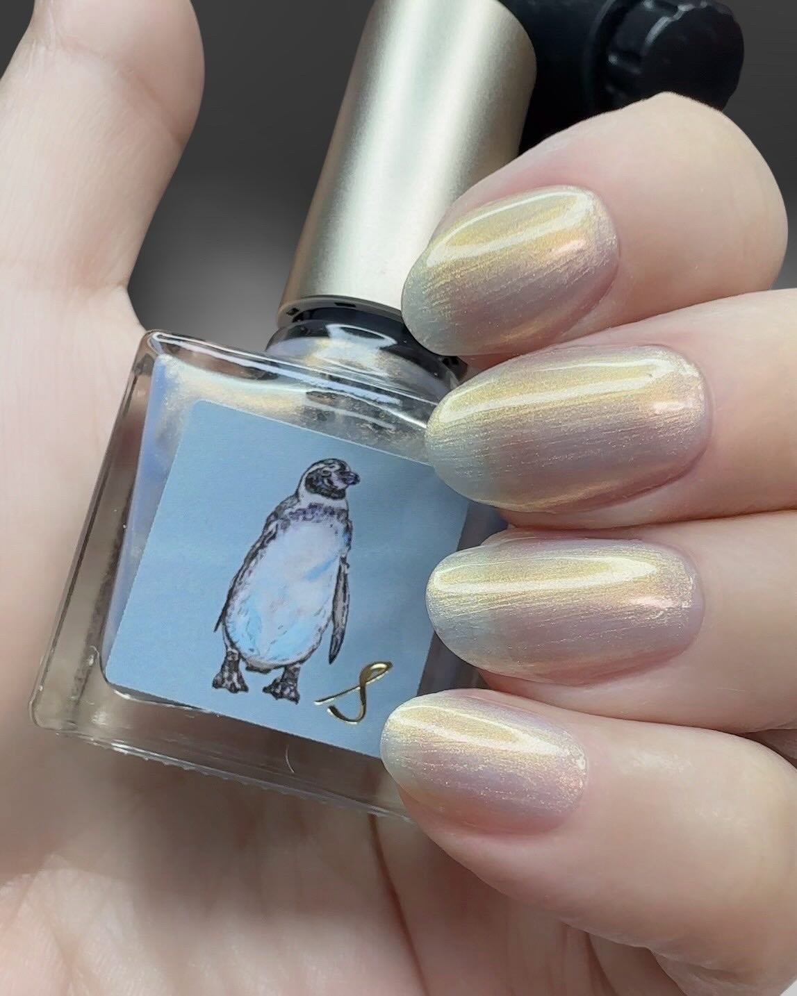 ネイルエス/ nail S(ネイルエス) /マニキュアを使ったクチコミ(2枚目)