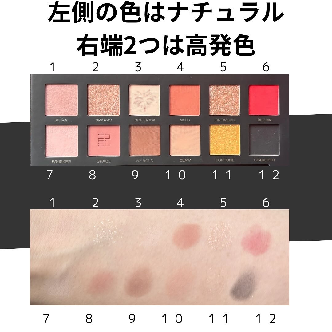 エクスプローラ12色 動物アイシャドウパレット/PERFECT DIARY/アイシャドウパレットを使ったクチコミ（3枚目）