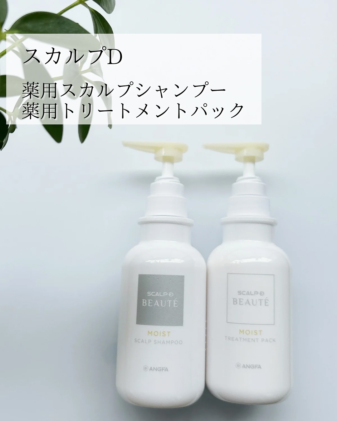 スカルプD ボーテ 薬用スカルプシャンプー（モイスト）／薬用トリートメントパック（モイスト）/アンファー(スカルプD)/市販シャンプーを使ったクチコミ（2枚目）