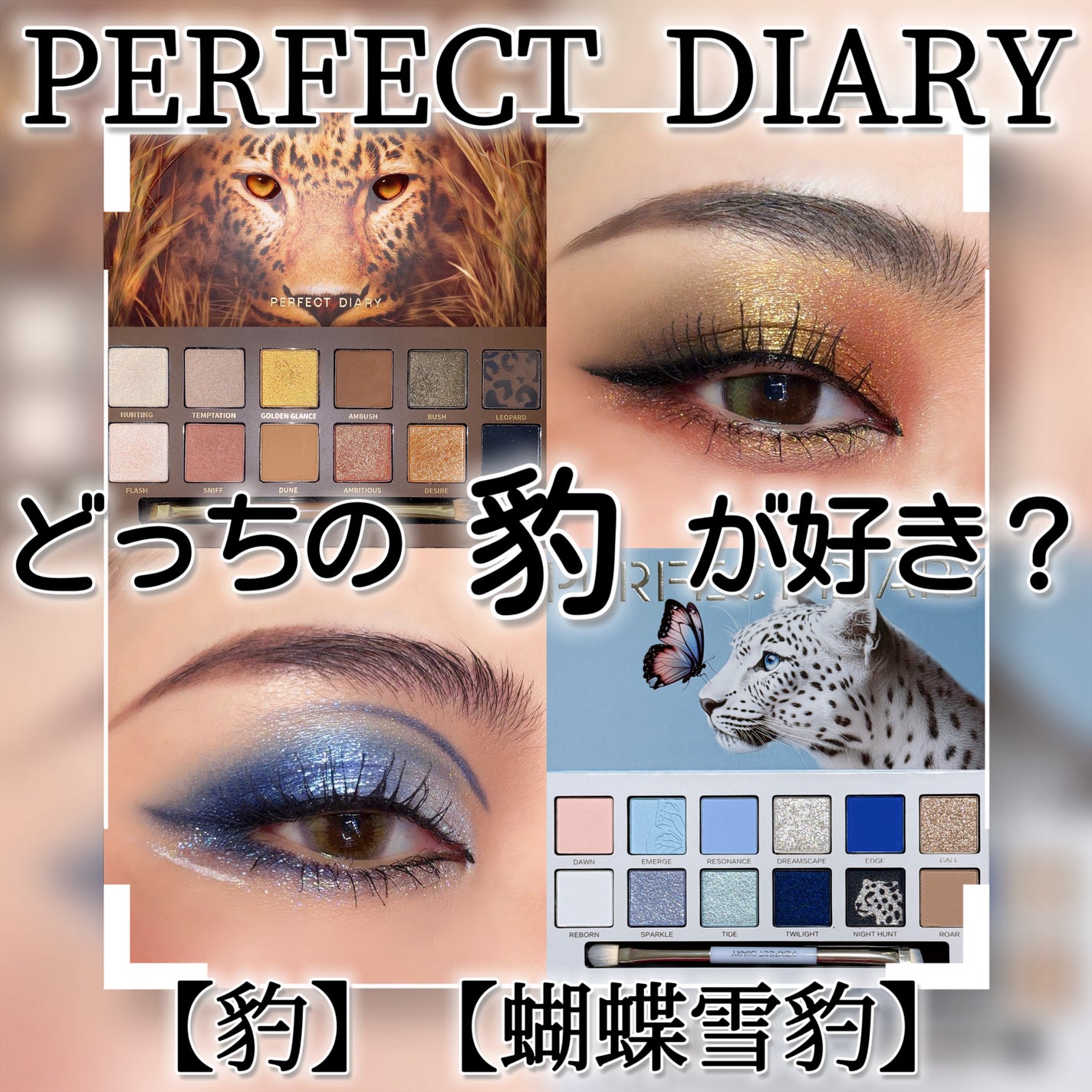 エクスプローラ12色 動物アイシャドウパレット/PERFECT DIARY/アイシャドウパレットを使ったクチコミ(1枚目)