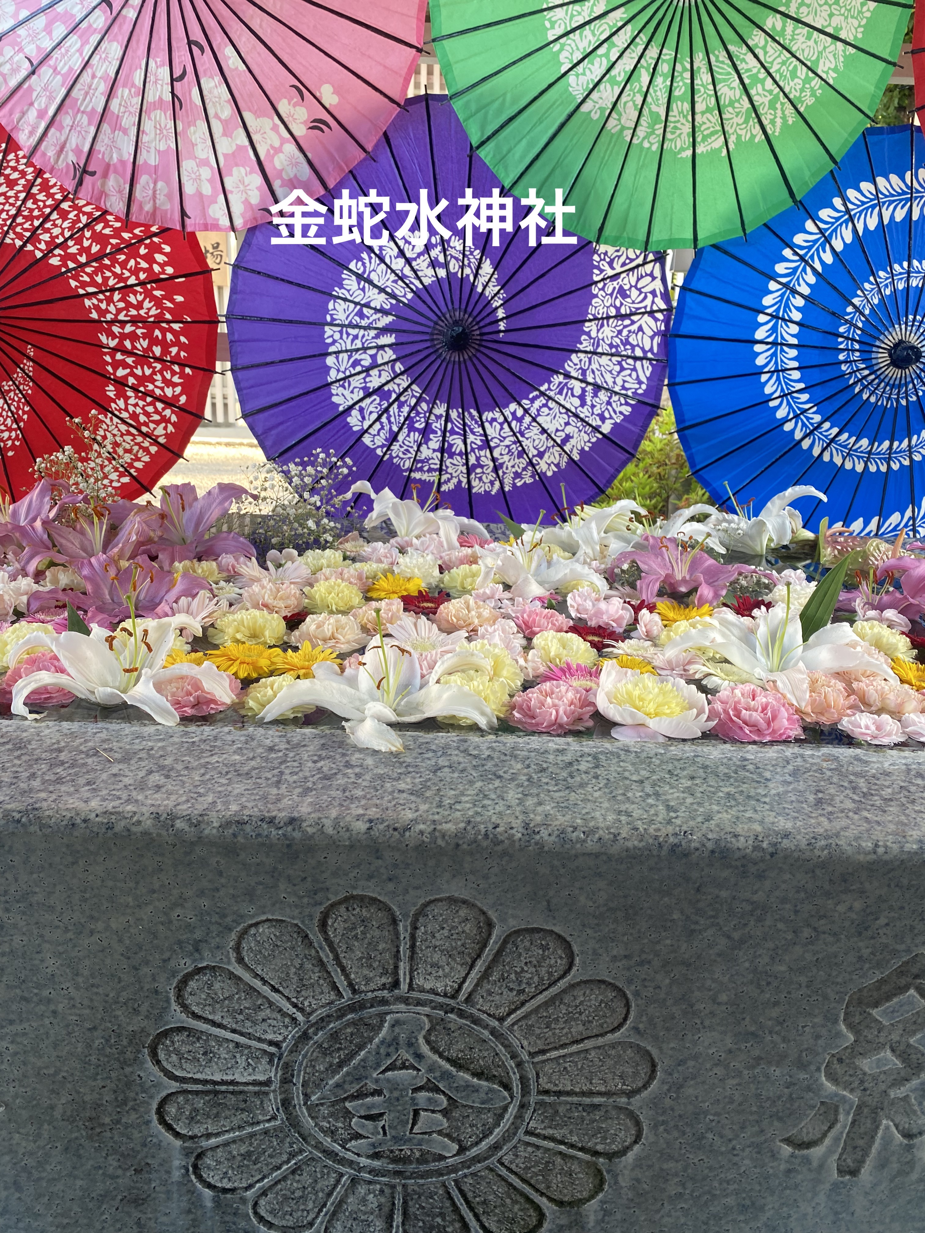 L-カルニチンコーヒー/明治製薬/その他を使ったクチコミ（3枚目）