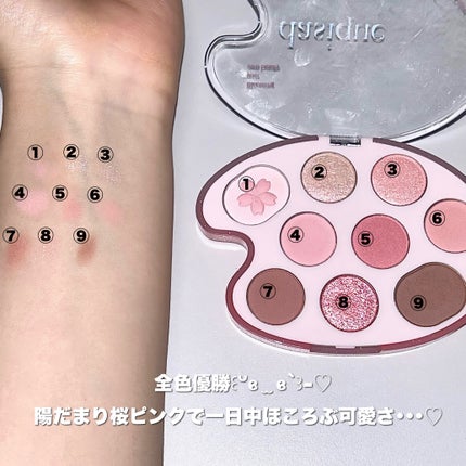 シャドウパレット/dasique/アイシャドウパレットを使ったクチコミ(2枚目)