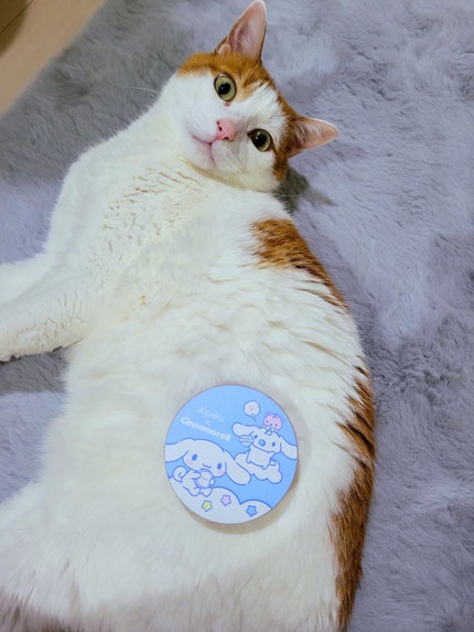 ウォーターロック サラサラパクト/A’pieu/フェイスパウダーを使ったクチコミ(1枚目)