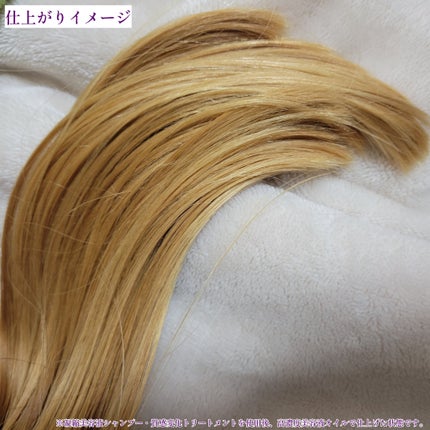 セグレタ プレミア 凝縮美容液シャンプー/質感変化トリートメント/セグレタ/市販シャンプーを使ったクチコミ(6枚目)