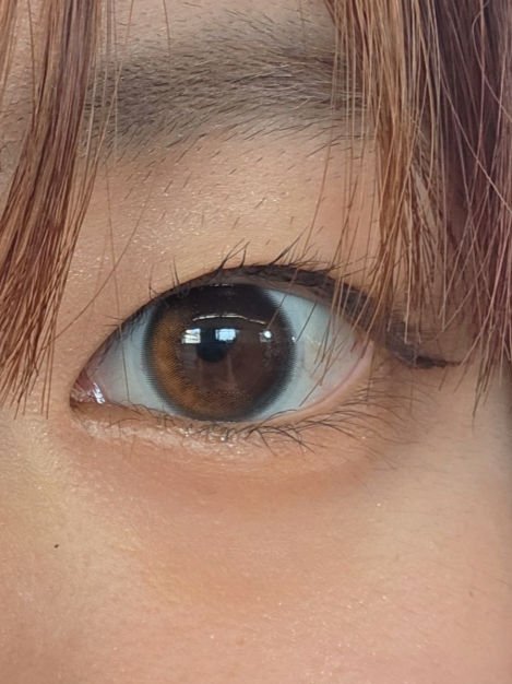 HARNE 1day プディング/HARNE/ワンデー（１DAY）カラコンを使ったクチコミ（3枚目）