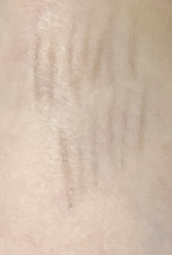 プラチナム 鉛筆 アイブロウ/エルシア/アイブロウペンシルを使ったクチコミ（2枚目）