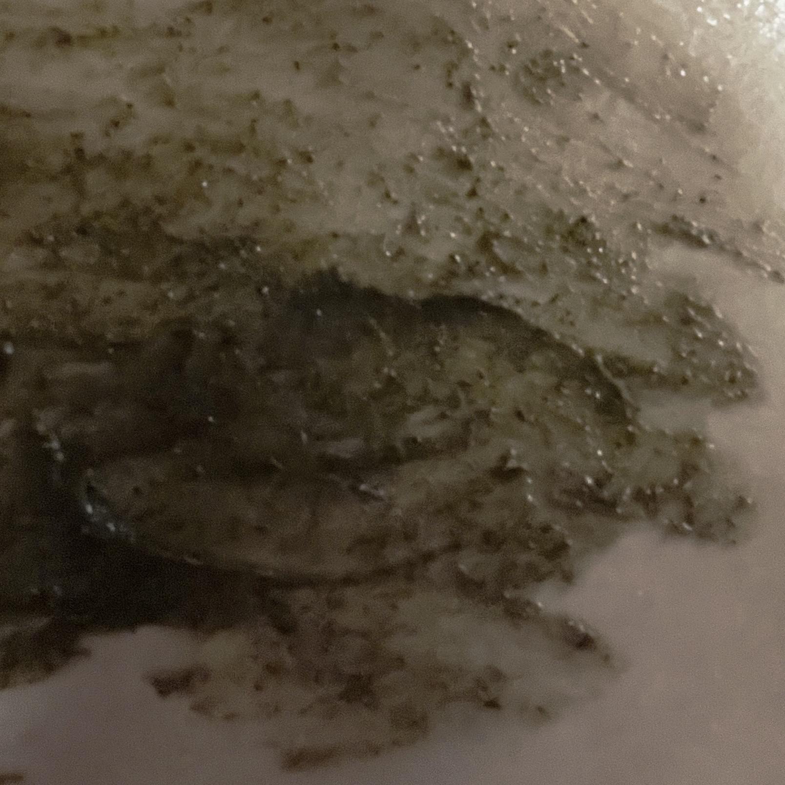 モイスチュア＆バランシング ローション/Ｎ organic/化粧水を使ったクチコミ（2枚目）