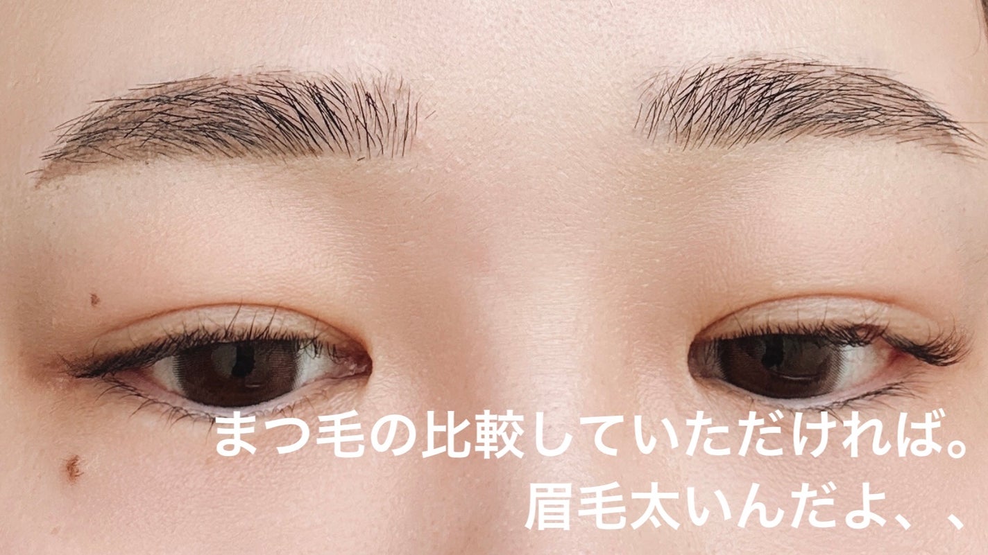 zzz on LIPS 「【眉毛ちゃんと整えてもらった件】今まで濃多眉毛でなんとなく自己..」(3枚目)