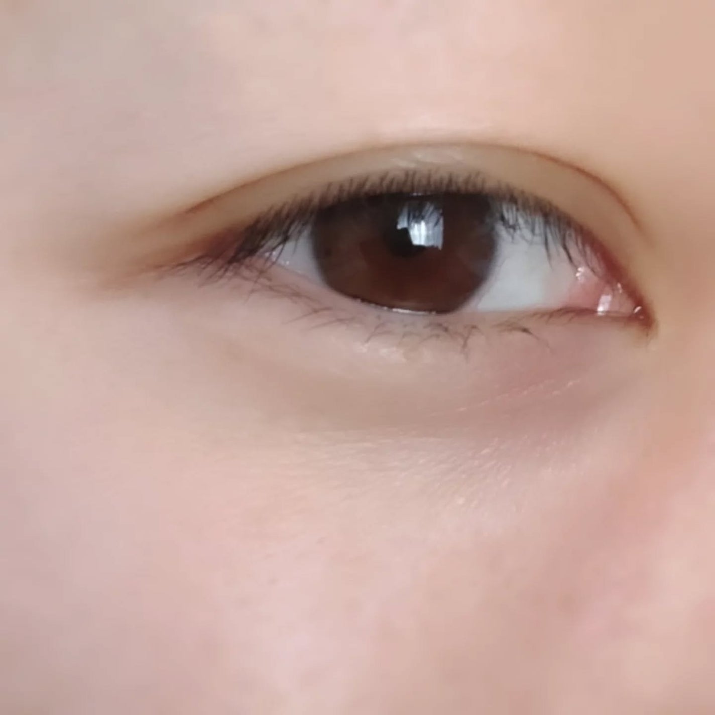 1day Eye Well/Eye Well/ワンデー(1DAY)カラコンを使ったクチコミ(6枚目)