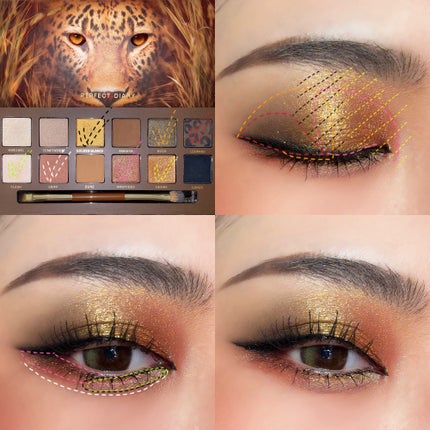 エクスプローラ12色 動物アイシャドウパレット/PERFECT DIARY/アイシャドウパレットを使ったクチコミ(4枚目)