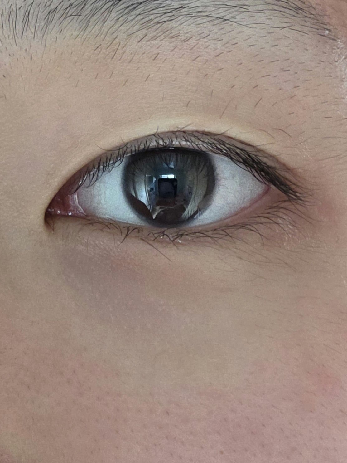 HARNE 1day プディング/HARNE/ワンデー（１DAY）カラコンを使ったクチコミ（2枚目）