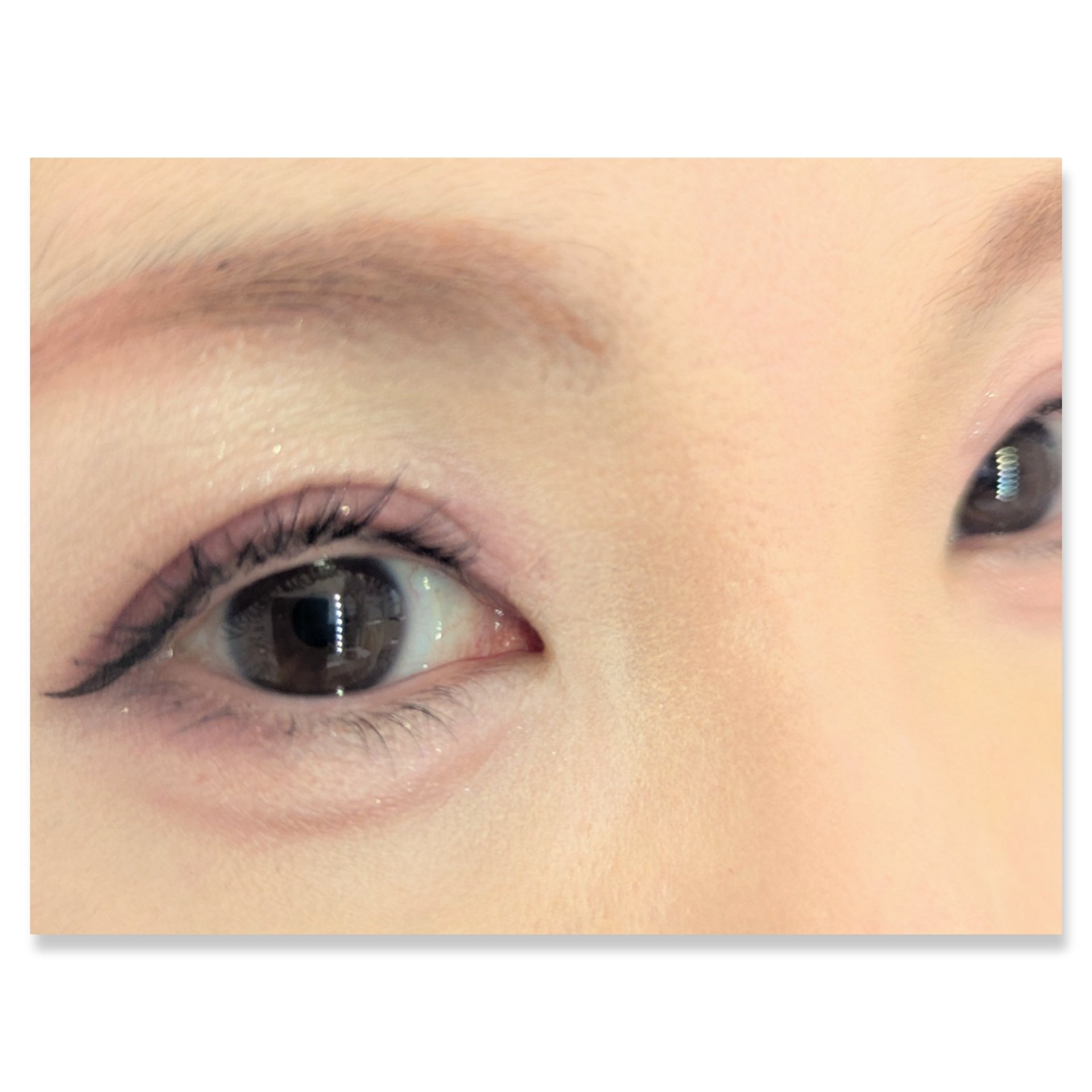 キスミー　フェルム　スタイリングアイパレット/キスミー フェルム/アイシャドウパレットを使ったクチコミ（2枚目）