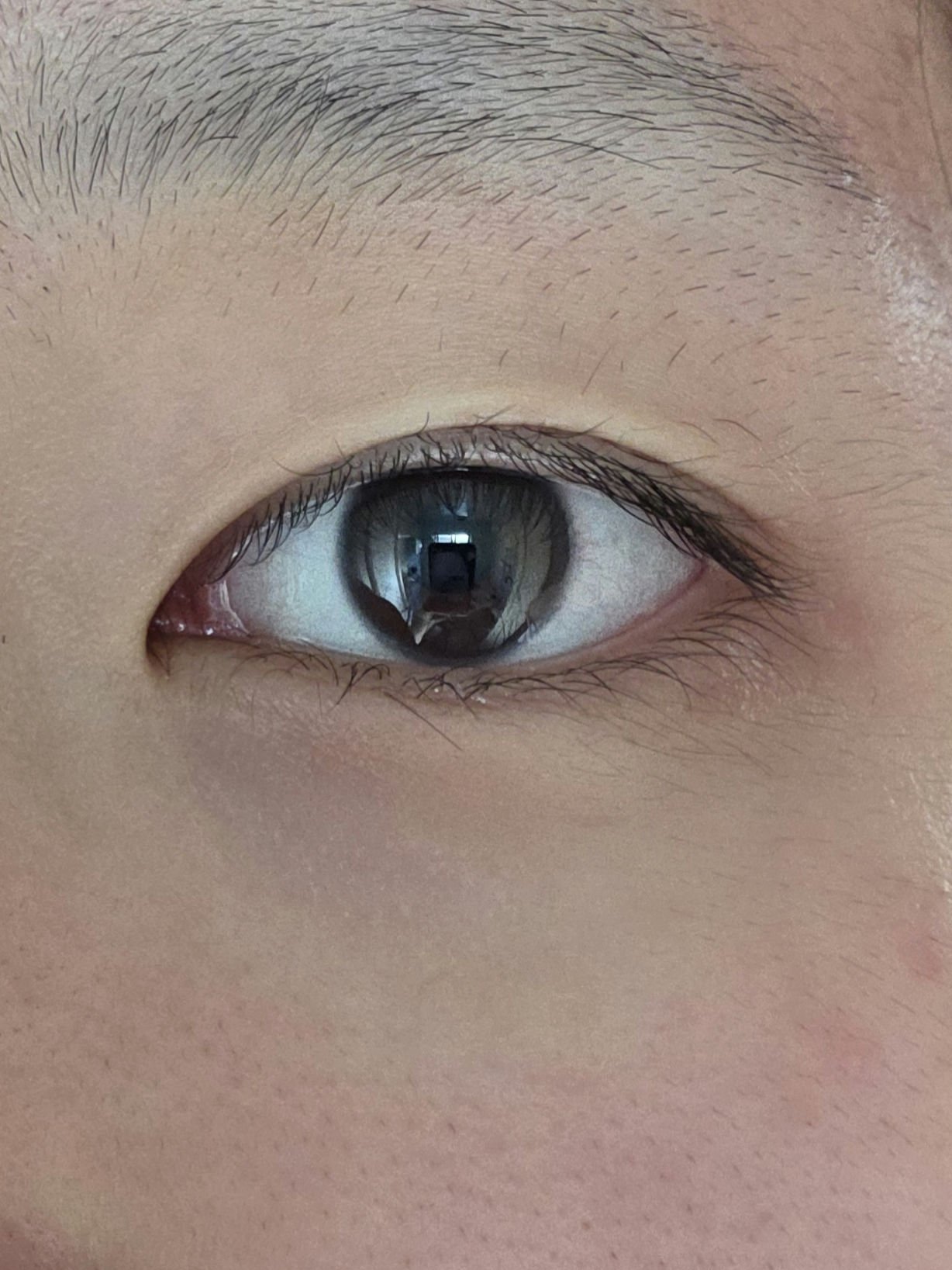 HARNE 1day プディング/HARNE/ワンデー（１DAY）カラコンを使ったクチコミ（2枚目）