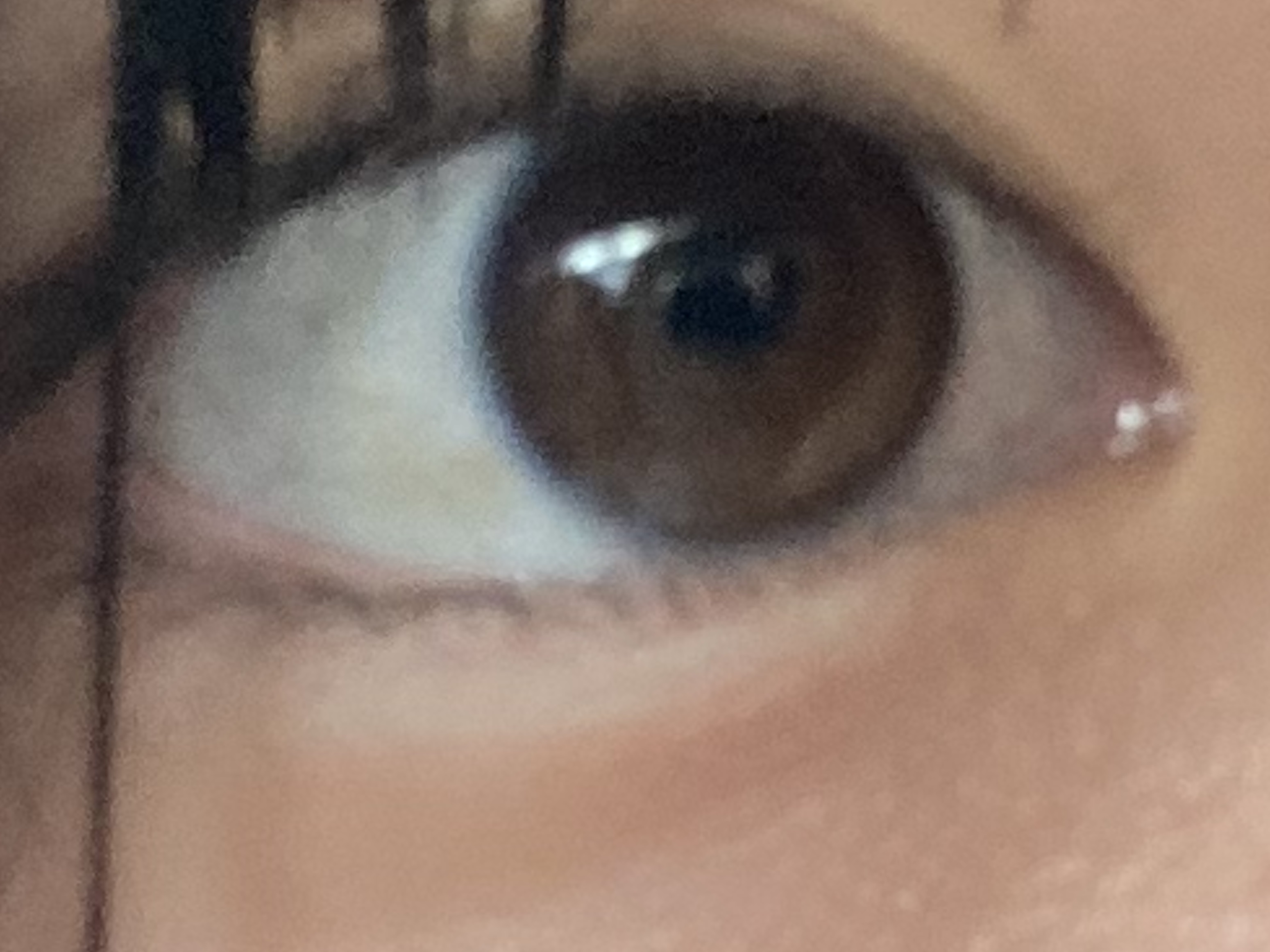 プランぷくコーデアイズ/キャンメイク/パウダーアイシャドウを使ったクチコミ（1枚目）