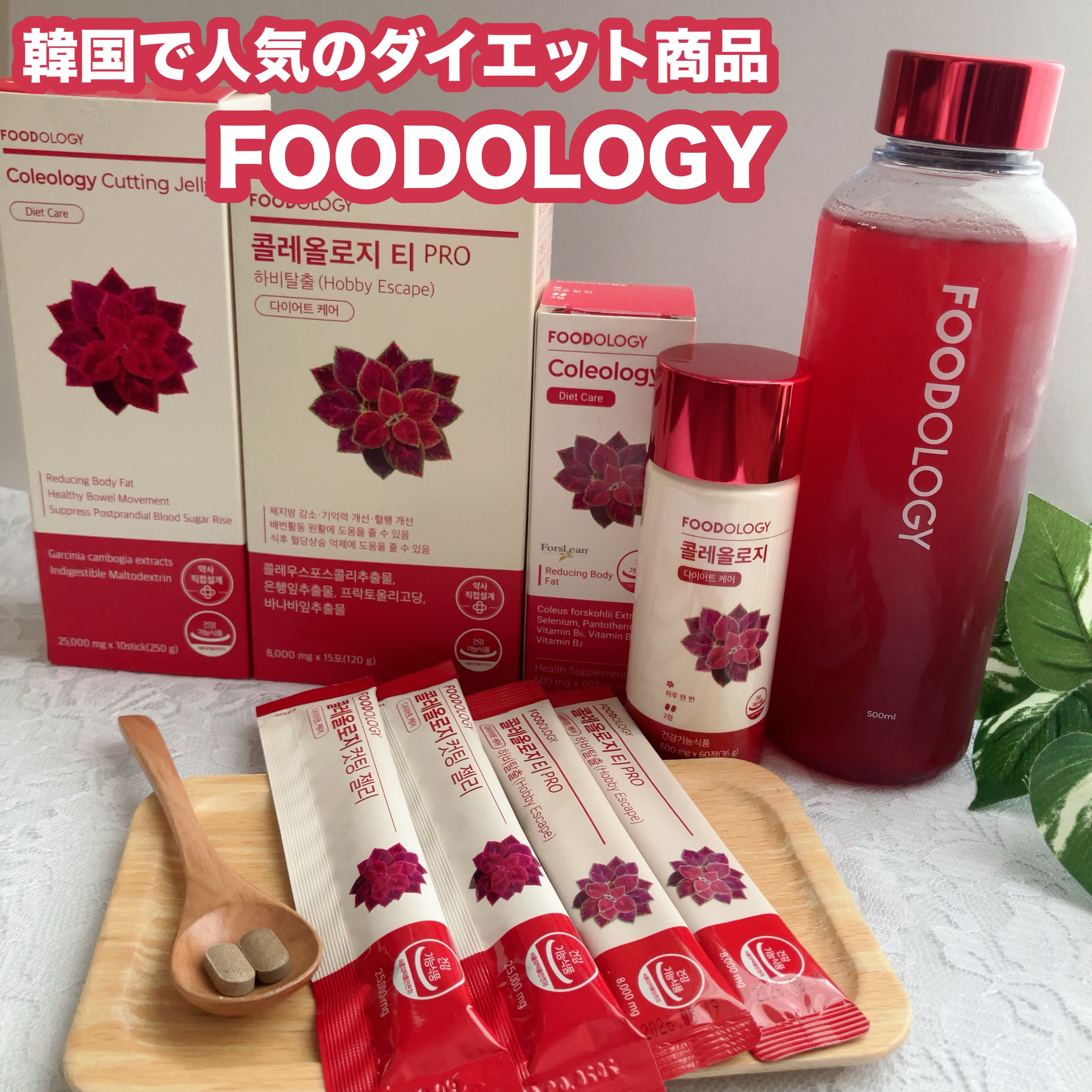 コレオロジーティー/FOODOLOGY/ドリンクを使ったクチコミ（1枚目）