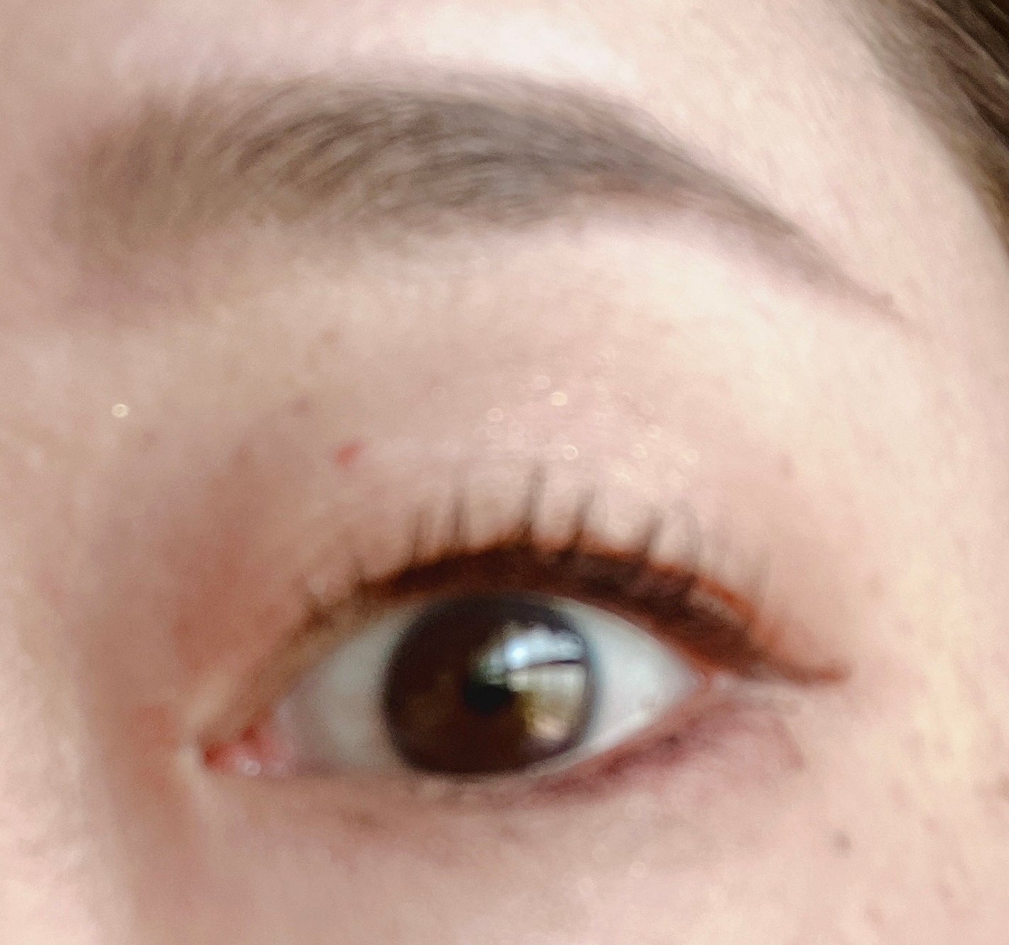 ニュアンスオンアイシャドウ/CEZANNE/アイシャドウパレットを使ったクチコミ(4枚目)