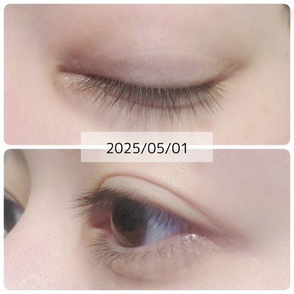 ロングアクティブアイラッシュセラム/COSNORI/まつげ美容液を使ったクチコミ(3枚目)