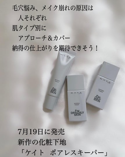 ケイト ポアレスキーパー FORドライ&オイリー/KATE/化粧下地を使ったクチコミ(2枚目)