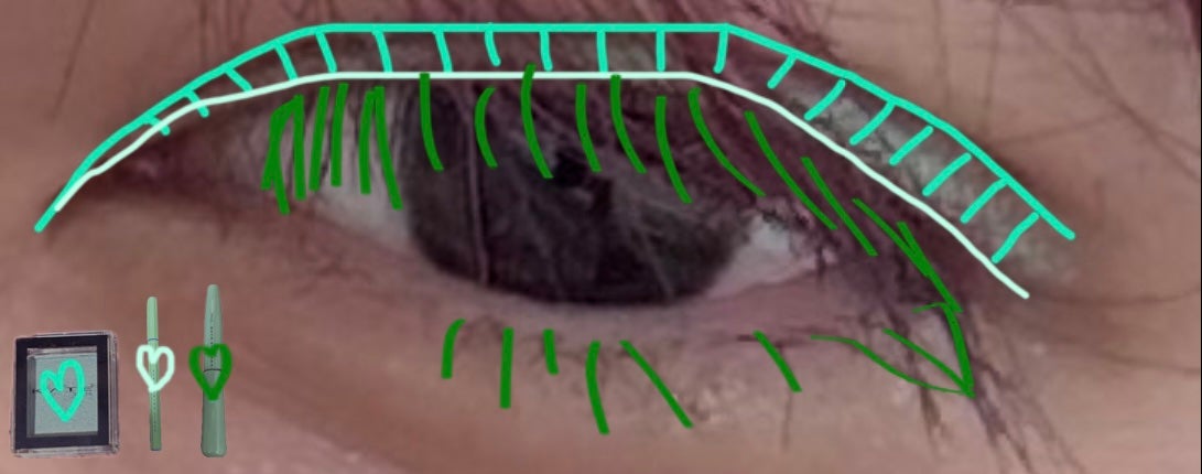 グロウフルールチークス/キャンメイク/パウダーチークを使ったクチコミ(4枚目)