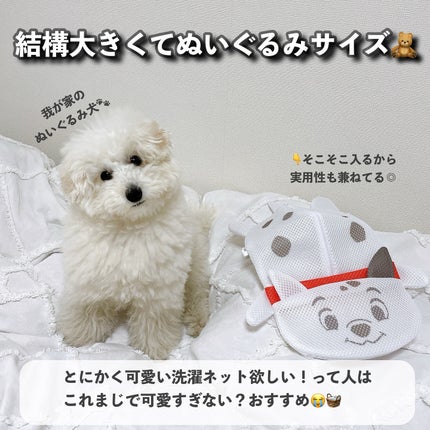 リペアスティック/DAISO/その他を使ったクチコミ(3枚目)