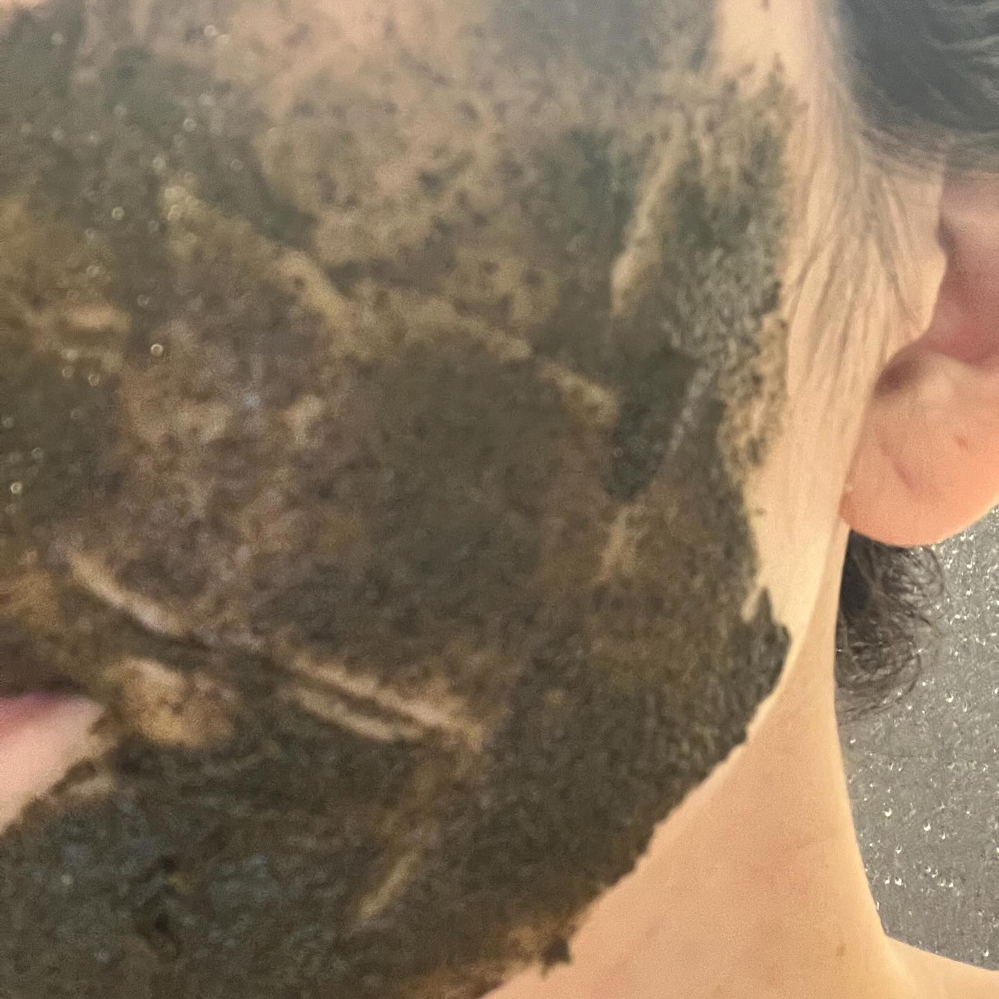 ティーツリーハーブピーリングパック/WellDerma/洗い流すパック・マスクを使ったクチコミ（3枚目）