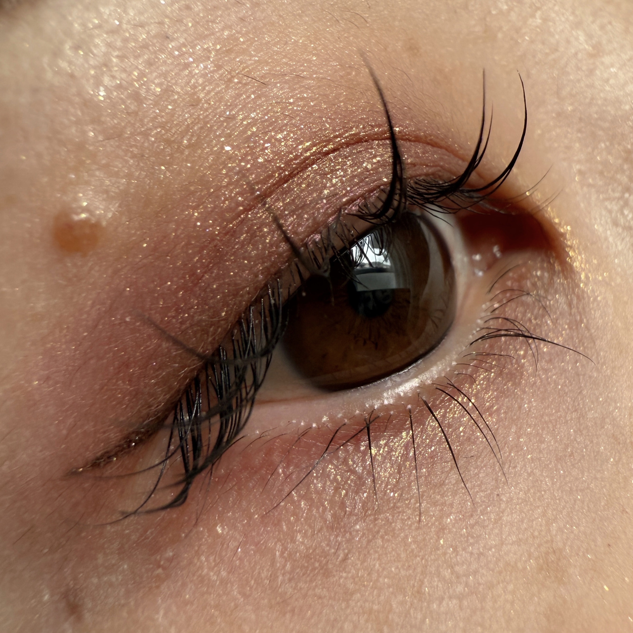 クチュール ミニ クラッチ/YVES SAINT LAURENT BEAUTE/アイシャドウパレットを使ったクチコミ（1枚目）